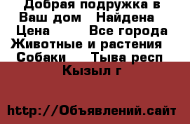 Добрая подружка,в Ваш дом!!!Найдена › Цена ­ 10 - Все города Животные и растения » Собаки   . Тыва респ.,Кызыл г.